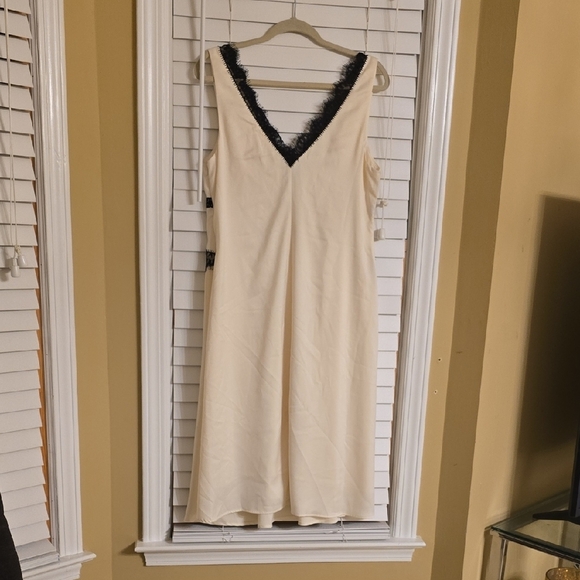 Anthropologie Cream and Black Sleeveless Midi Dress - Picture 7 of 13
